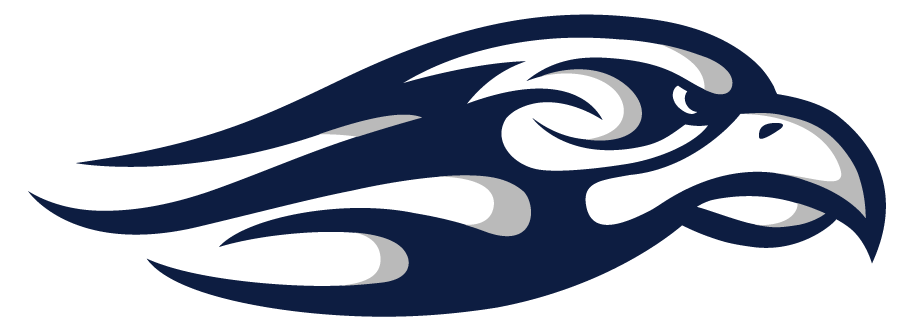 Liberty Flames 2013-Pres Secondary Logo diy iron on heat transfer
